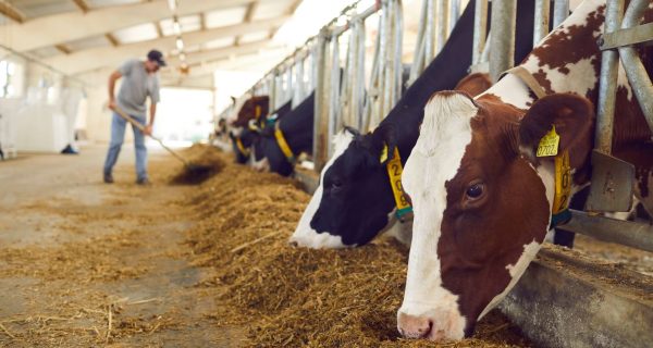 VETCO Enterprises (Pvt) Ltd